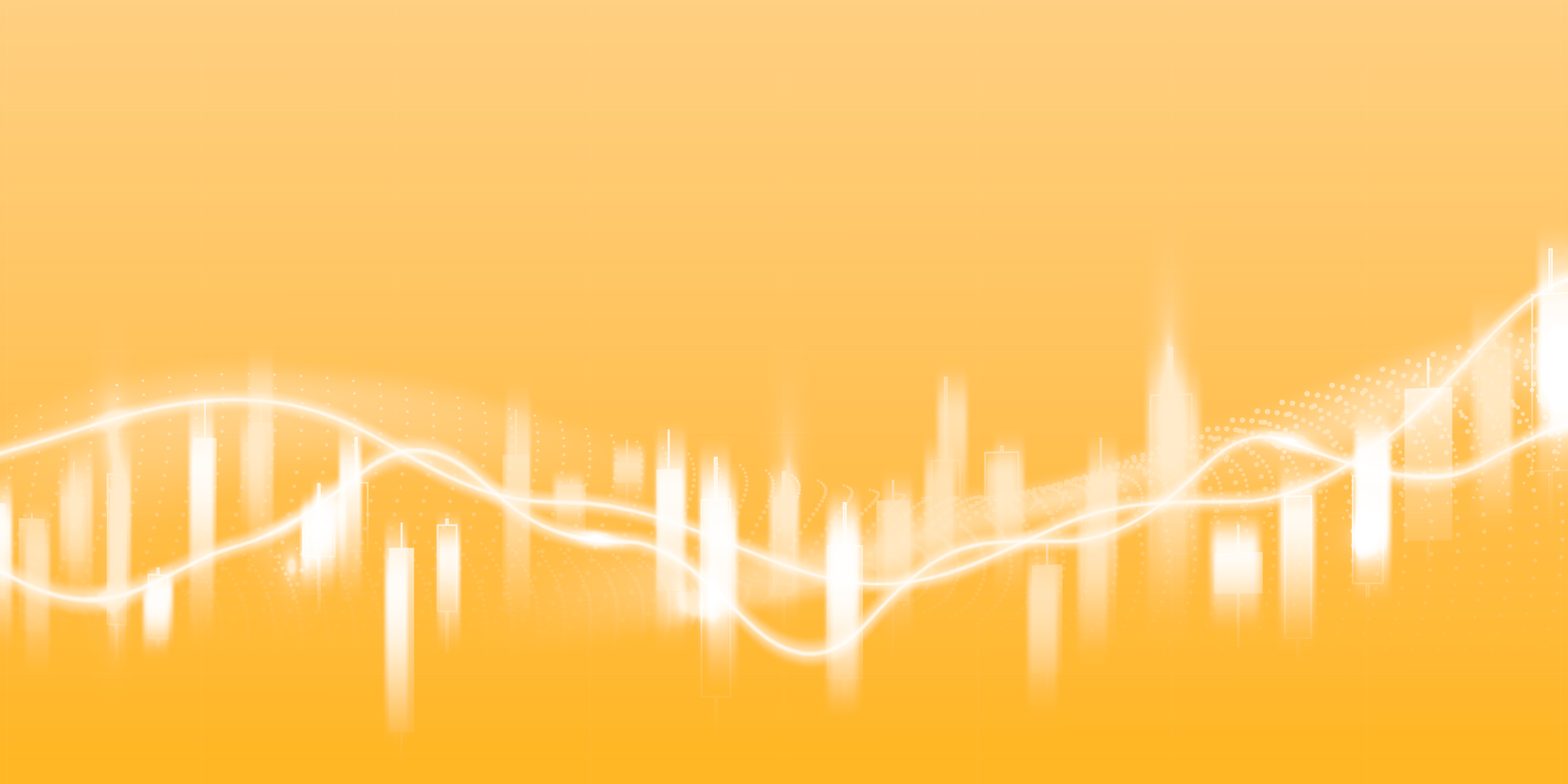 Education Background